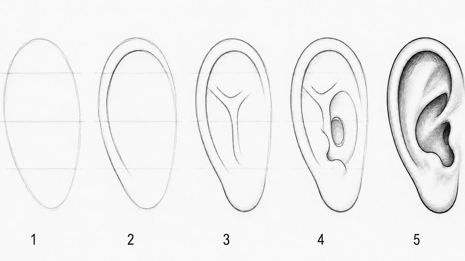 step by step ear drawing collage showing five stages from rough oval guide to fully inked realistic ear