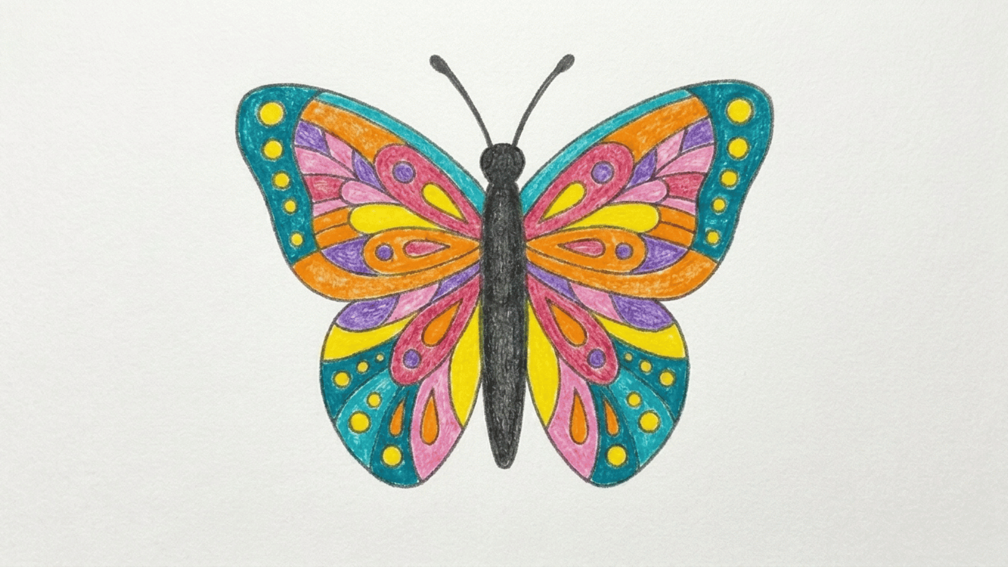 finished colorful butterfly drawing with bright patterned wings shown neatly on a clean white page