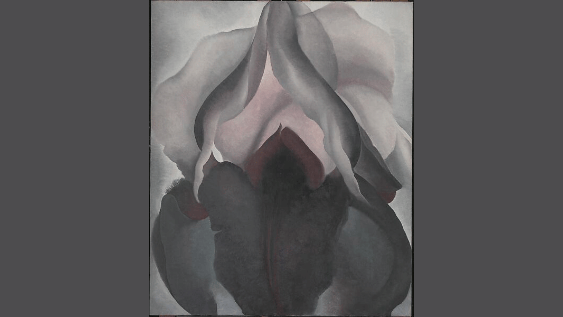 georgia o'keeffe's black iris showing pale flower petals surrounding a deep dark center in a close-up view