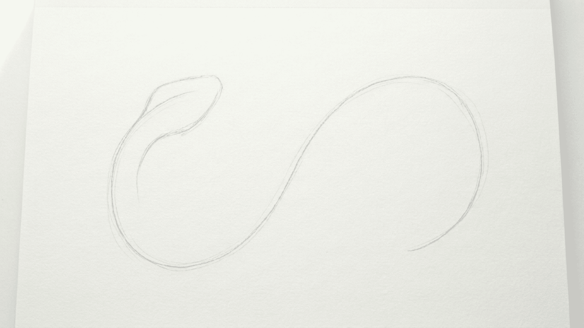 snake outline built around an s curve with rounded head wider body and tapering tail