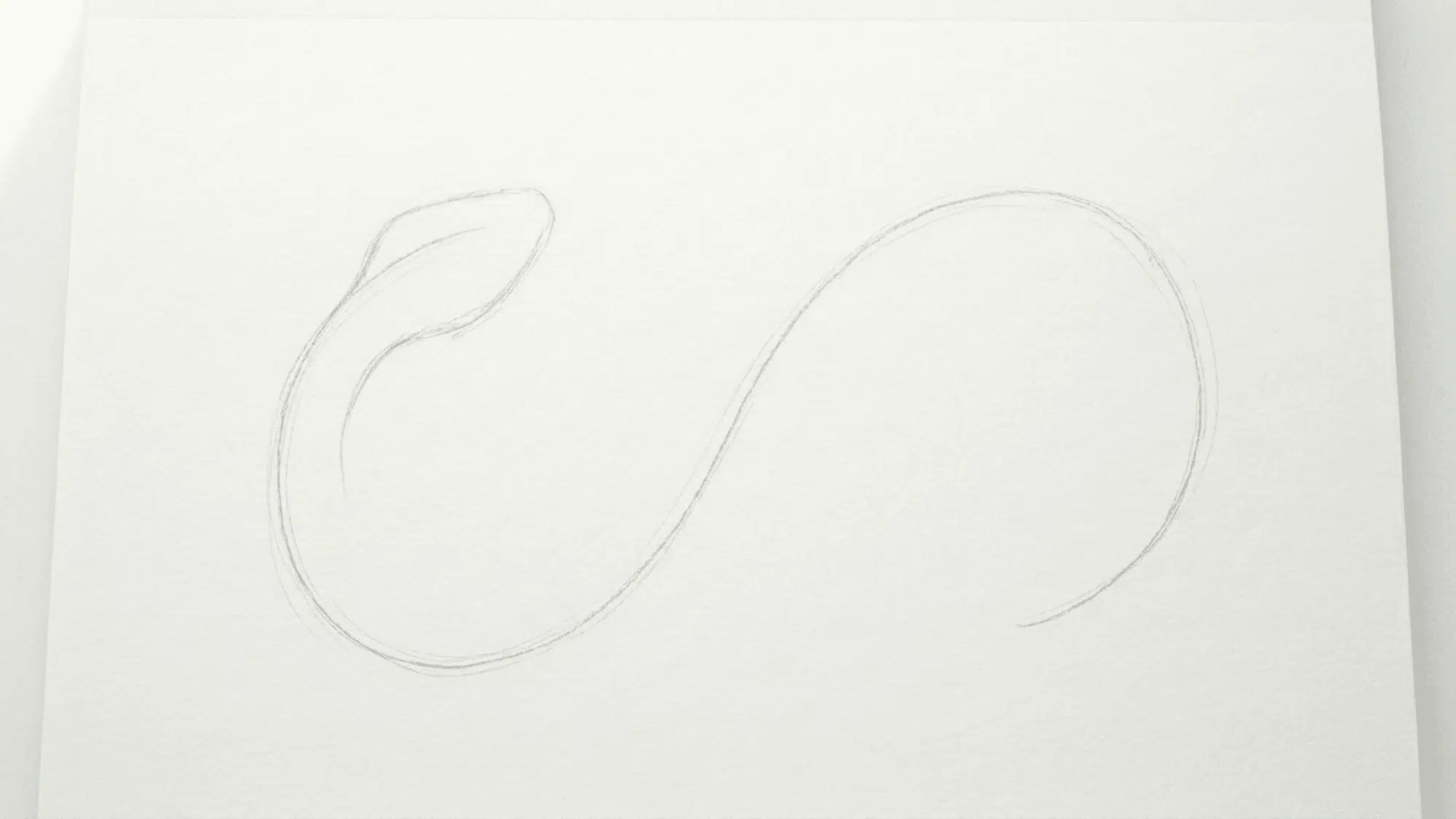 snake outline built around an s curve with rounded head wider body and tapering tail