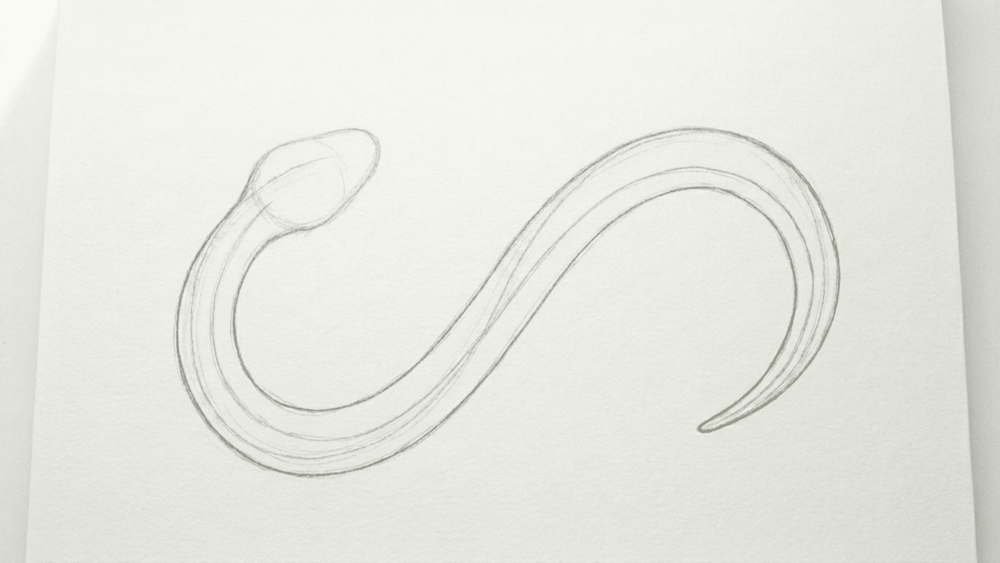 snake drawing with eye mouth nostril and forked tongue added to the head