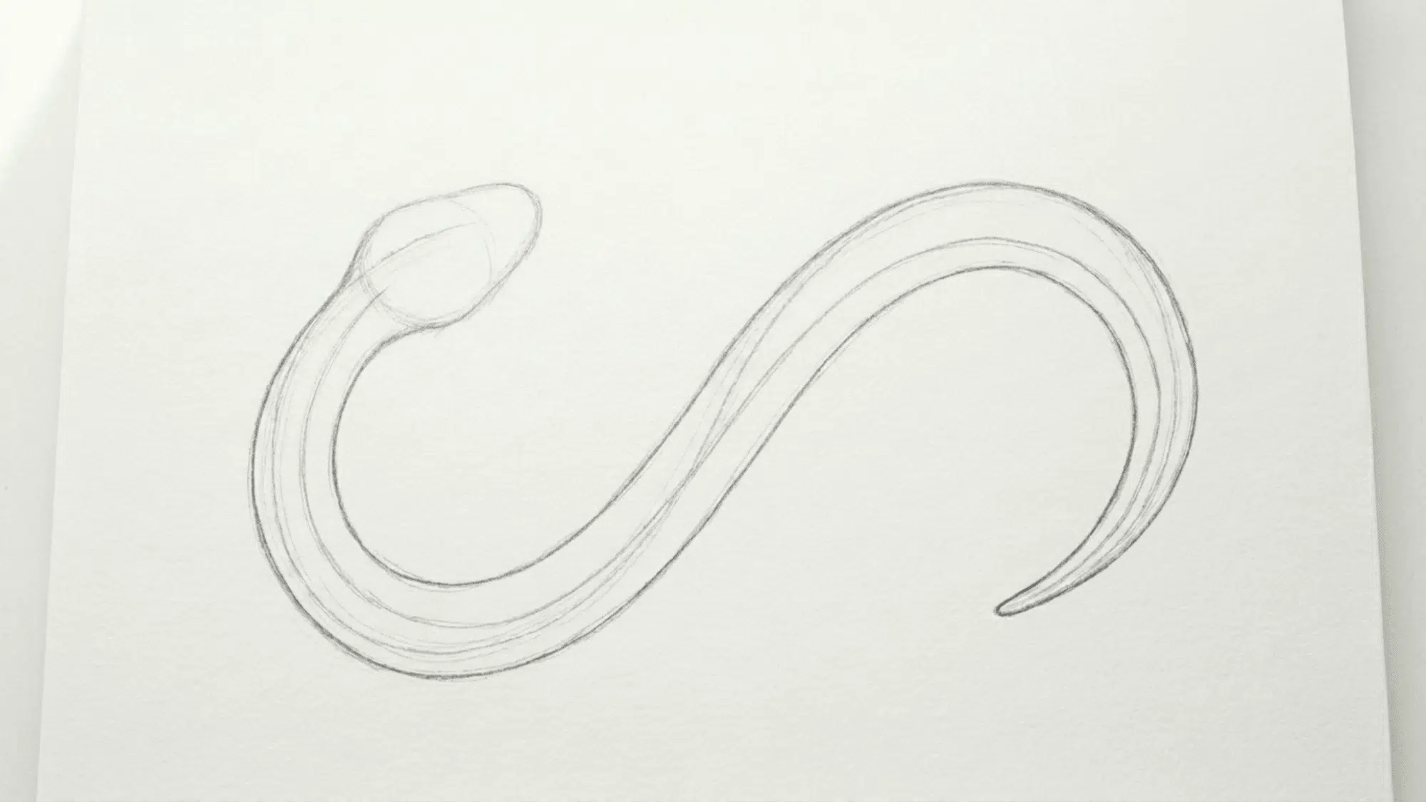 snake drawing with eye mouth nostril and forked tongue added to the head