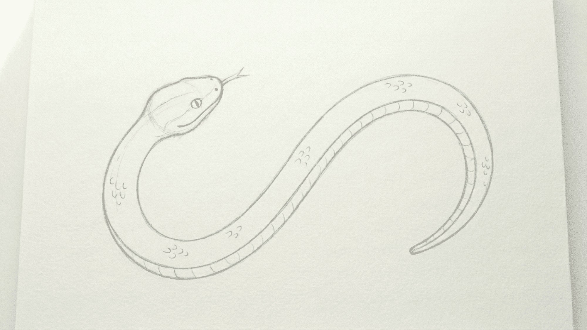 basic snake pencil sketch shown beside a finished snake drawing