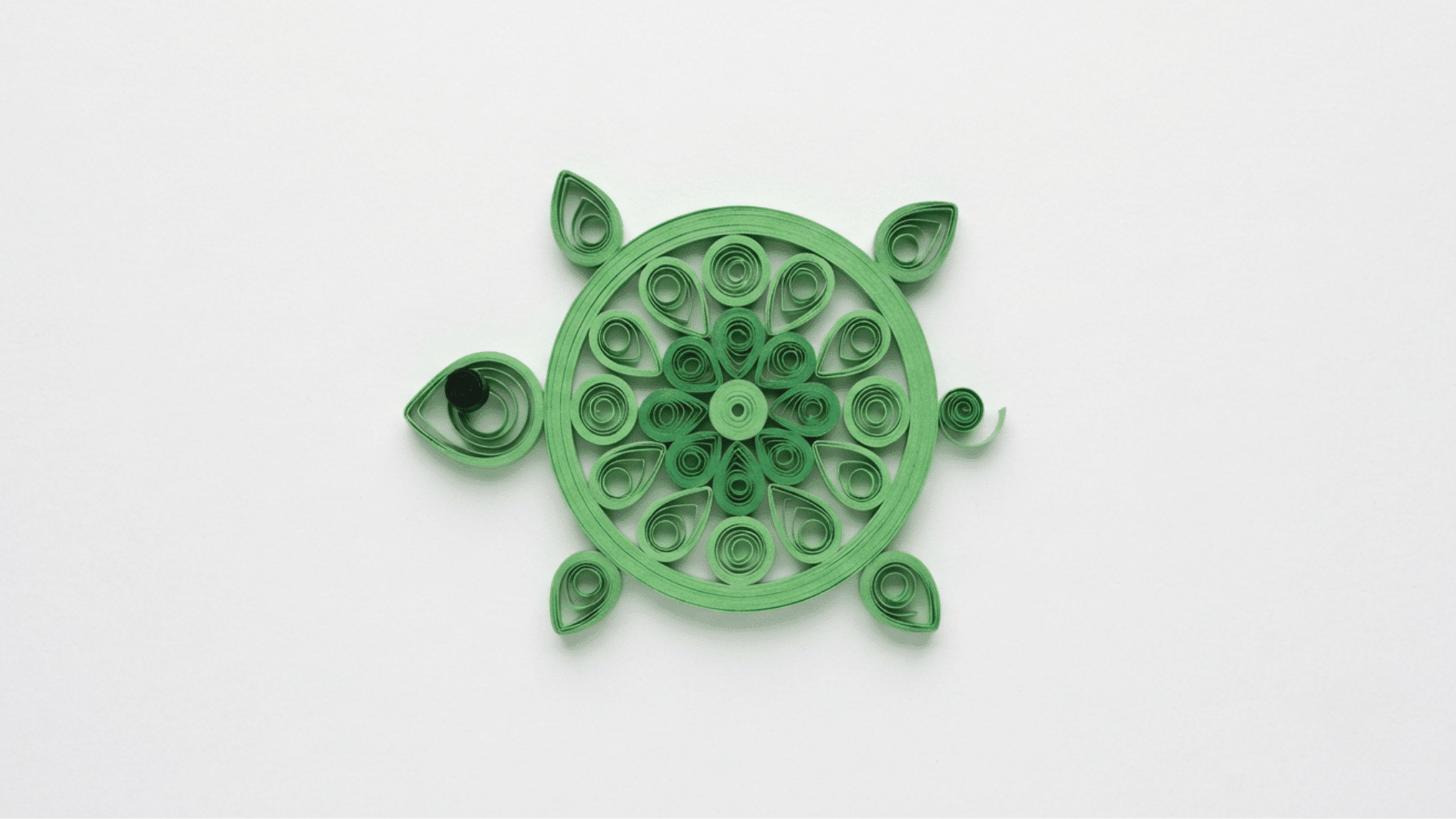 quilled paper turtle in green with a floral patterned shell on white background